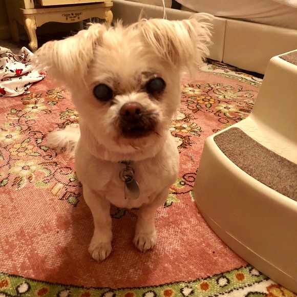 🌟❤️JEFFERSON❤️🌟 - Picture 4 of 13